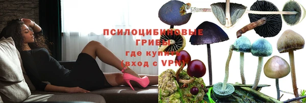 а пвп мука Лабытнанги