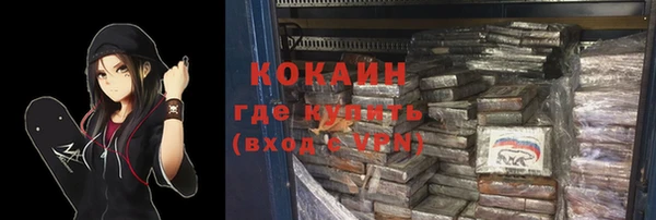 индика Кулебаки