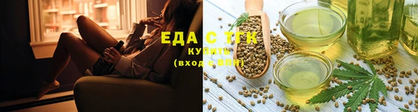 индика Кулебаки