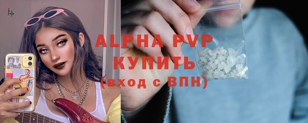 индика Кулебаки