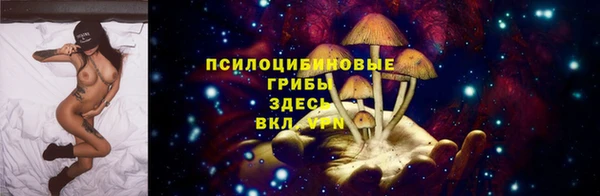 стафф Кукмор