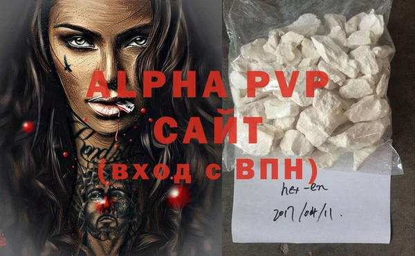 индика Кулебаки