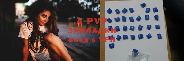не бодяженный Ладушкин