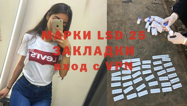 индика Кулебаки