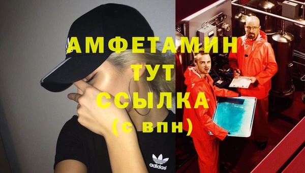 индика Кулебаки