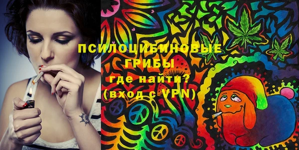 индика Кулебаки