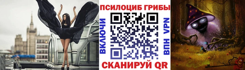 это какой сайт  купить наркоту  Ясный  Галлюциногенные грибы Psilocybe 